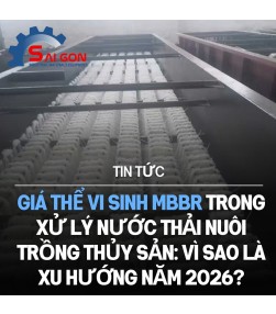 Giá thể vi sinh MBBR trong xử lý nước thải nuôi trồng thủy sản: Vì sao là xu hướng năm 2026?